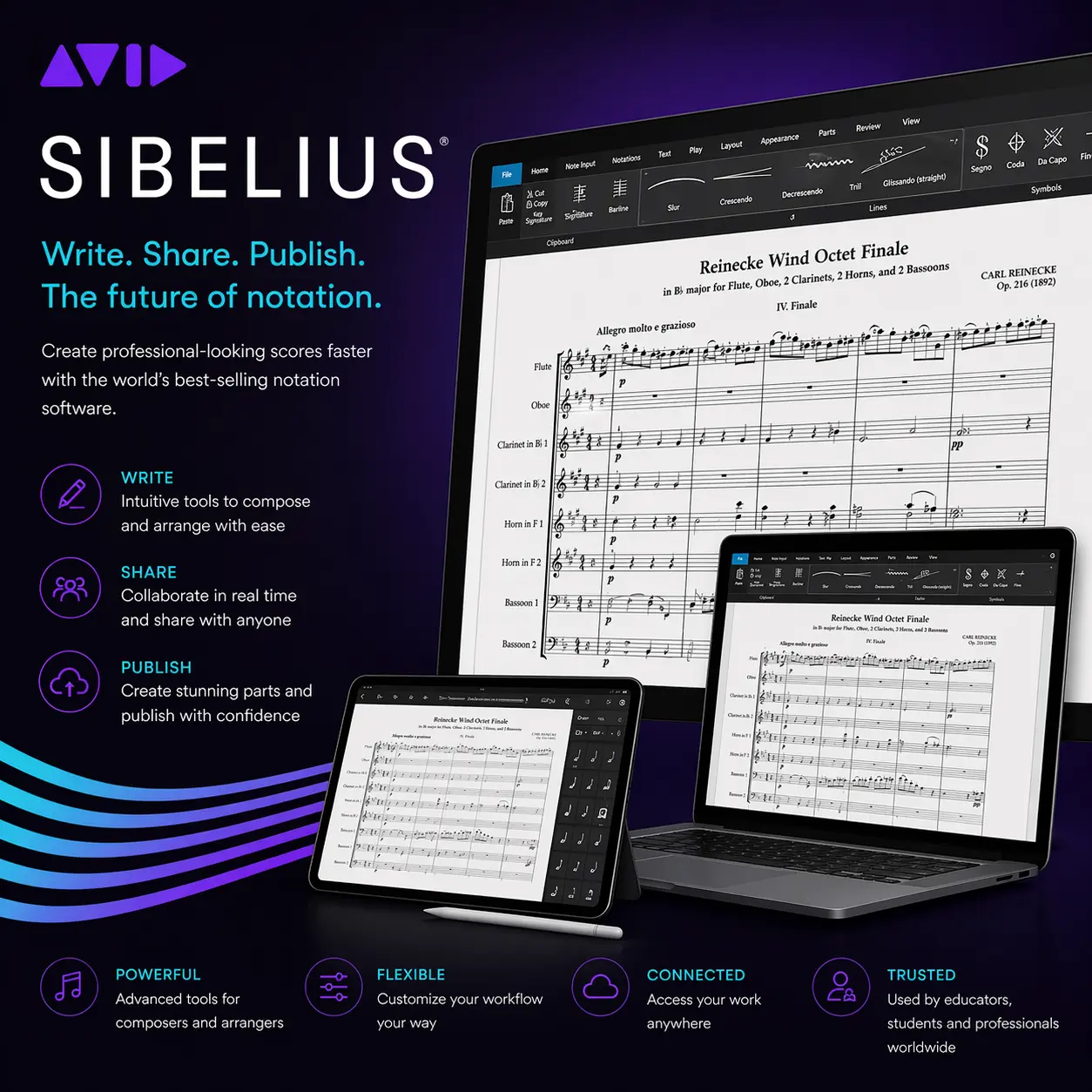 Sibelius screenshot